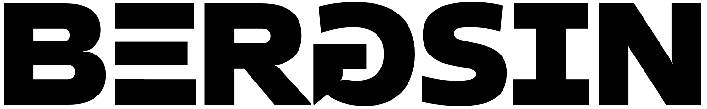 Bergsin